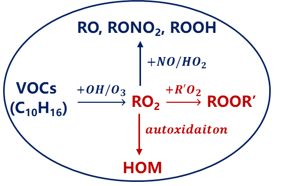 0d72aed12d742a163e6a72396c19af48.png 0d72aed12d742a163e6a72396c19af48.png